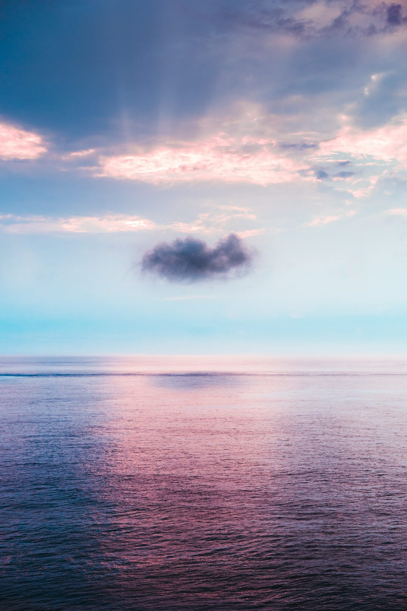 There are several prominent organizations working on Ocean Plastic Clean Up